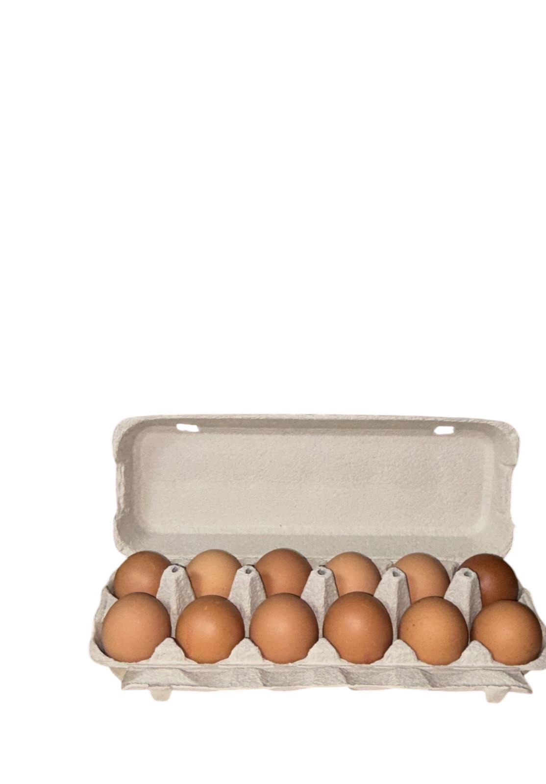 Huevos frescos · docena